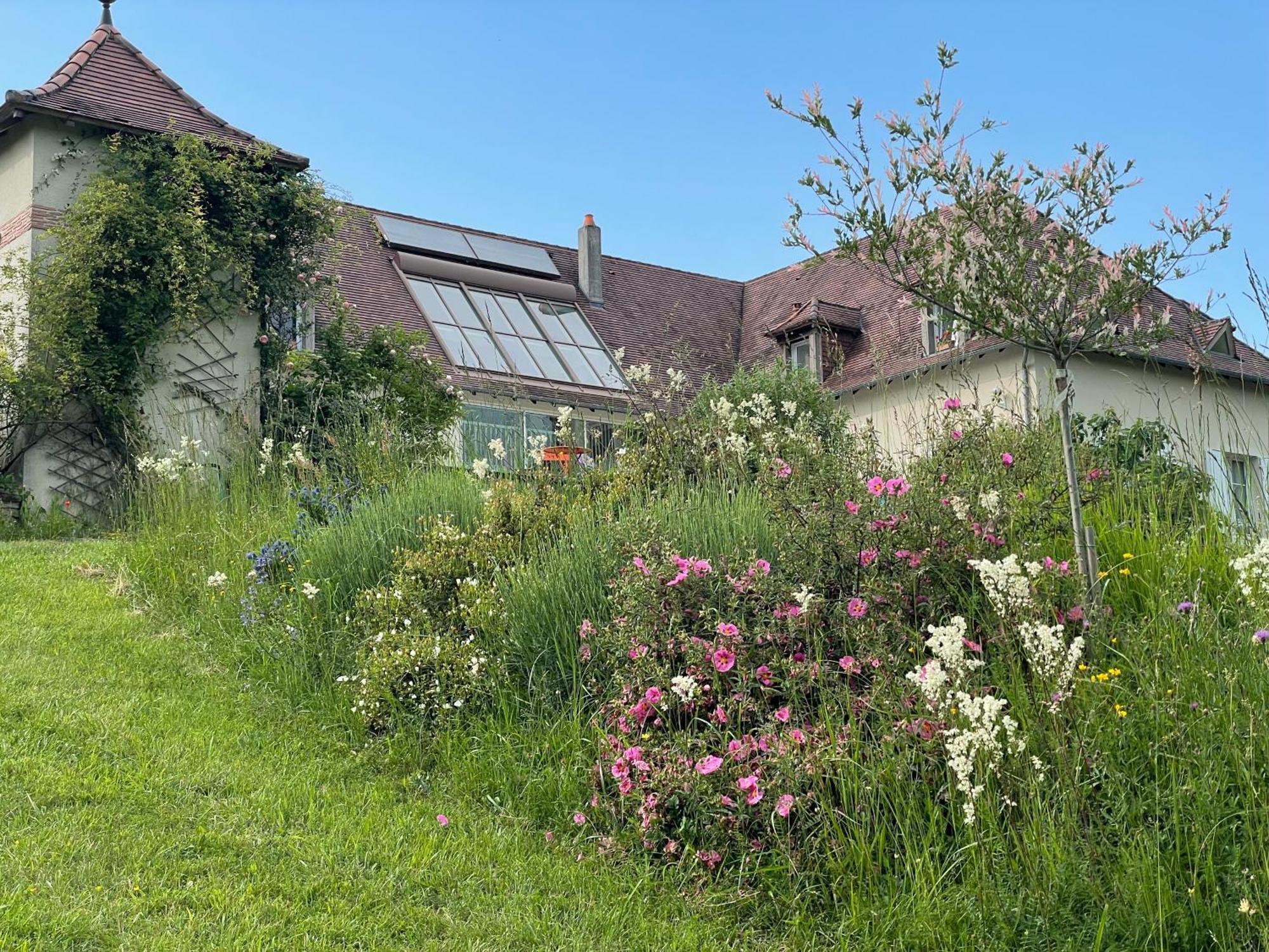 La Maison Du Parc Saint-Raphaël Kültér fotó